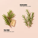 Ingrédients Romarin et Tea Tree - Beauté insolente Shampooing purifiant cheveux frisés crépus locksés, flacon 250ml.